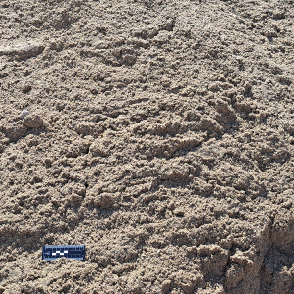 Sable à tranchée