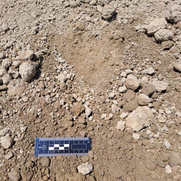 Terre végétale