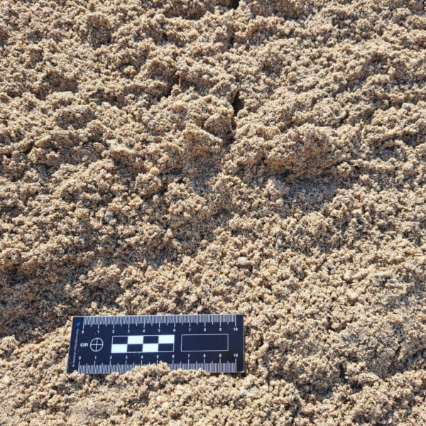 Sable à tranchée