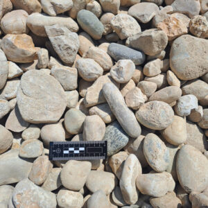 Galet 40/100 roulé lavé