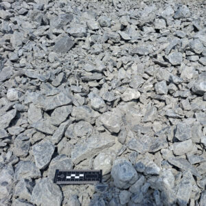 Grave 0/60 concassé calcaire