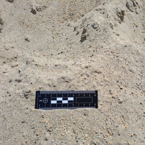 Sable 0/2 mm roulé lavé