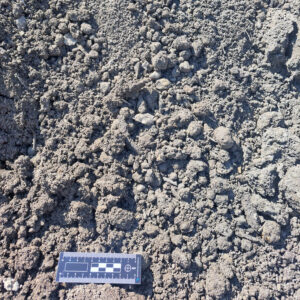 Substrat fertile amendé